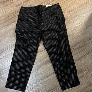 Women Black Polka Dot Pants